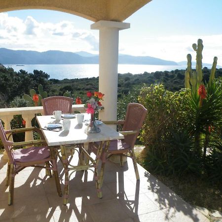 Villa Liamone Studio Fuer 3 Personen , 400 M Vom Strand, Pool, Klimaanlage Sagone  Kültér fotó